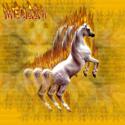 cheval