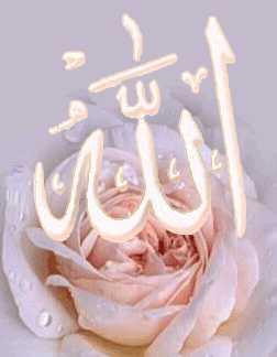 super rose