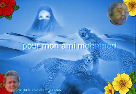 coucou momo