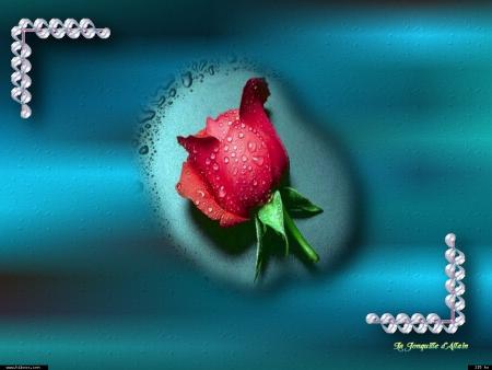 pour toi rivana mon amis